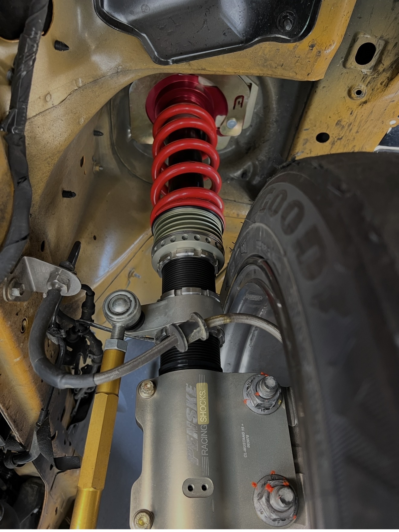BVI GT350 track build photo