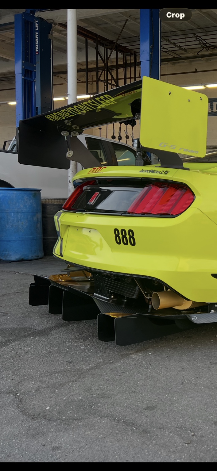 BVI GT350 track build photo