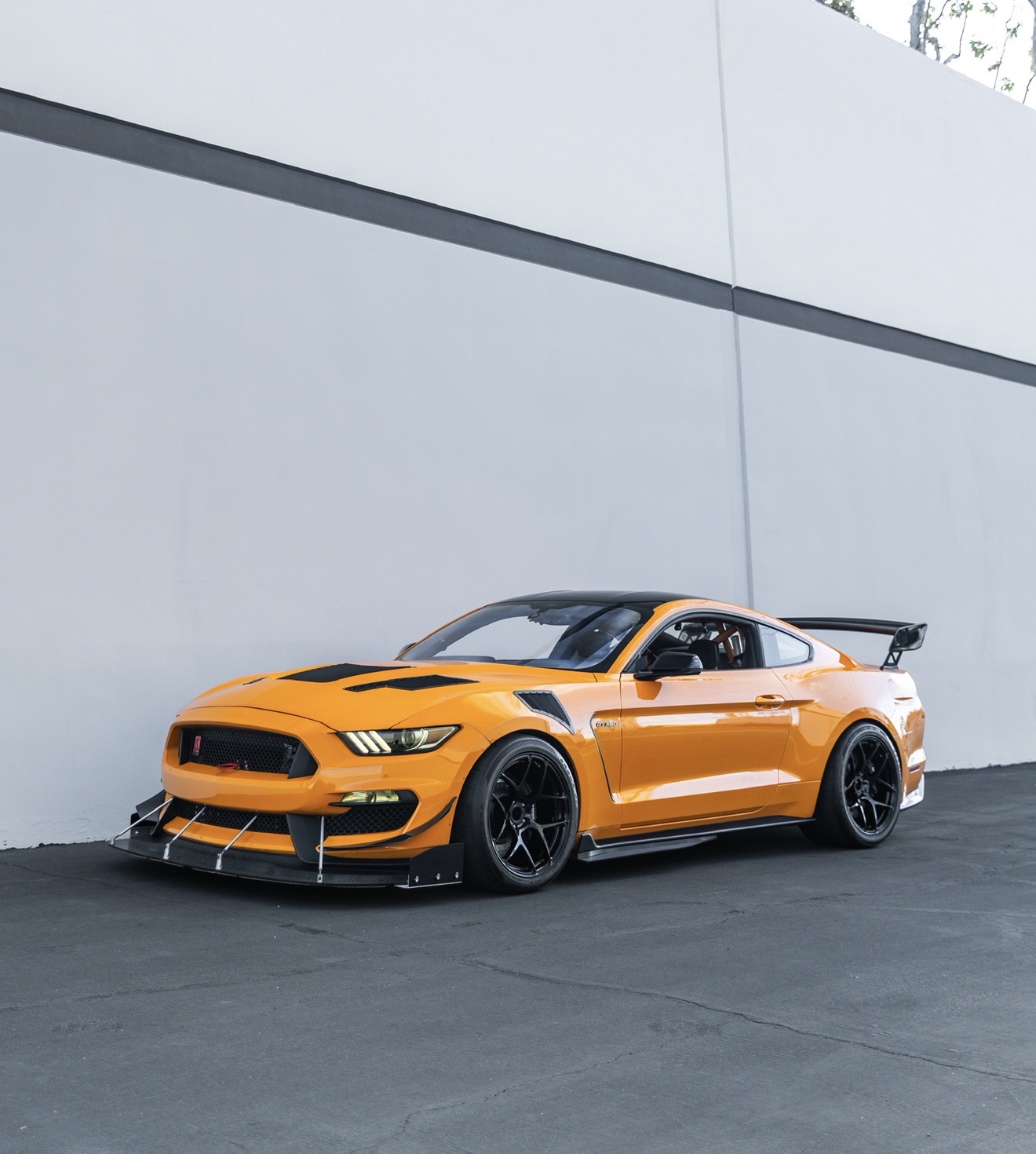 BVI GT350 track build photo